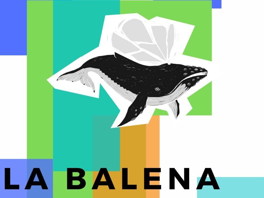 LA BALENA ALGHE